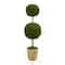 4ft. Boxwood Double Ball Topiary Tree in Planter